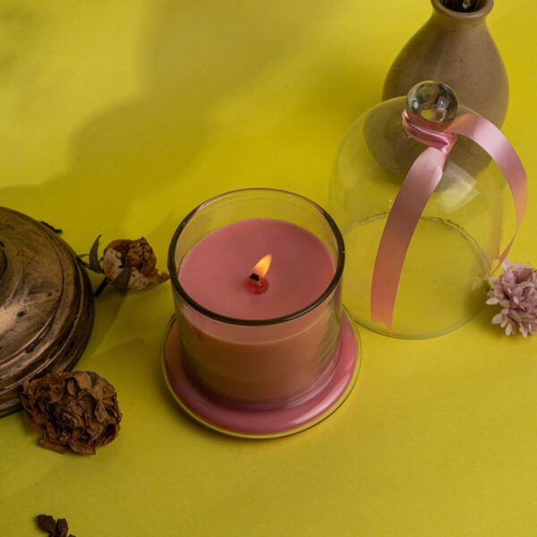 Vaibhyaa Bell Jar Soy Candle Eco-Friendly Scented - Hand-Poured Non-Toxic, Clean-Burning, Long-Lasting Biodegradable Wax - Image 2