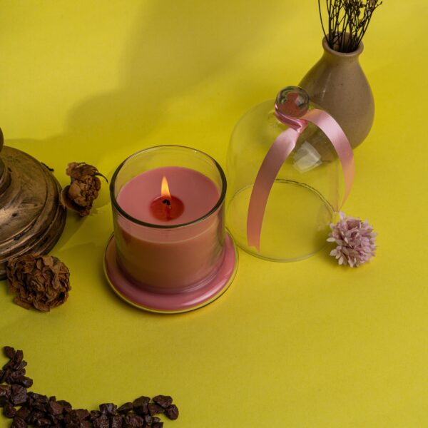 Vaibhyaa Bell Jar Soy Candle Eco-Friendly Scented - Hand-Poured Non-Toxic, Clean-Burning, Long-Lasting Biodegradable Wax - Image 3